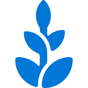 Cannabis Dispensaries SEO